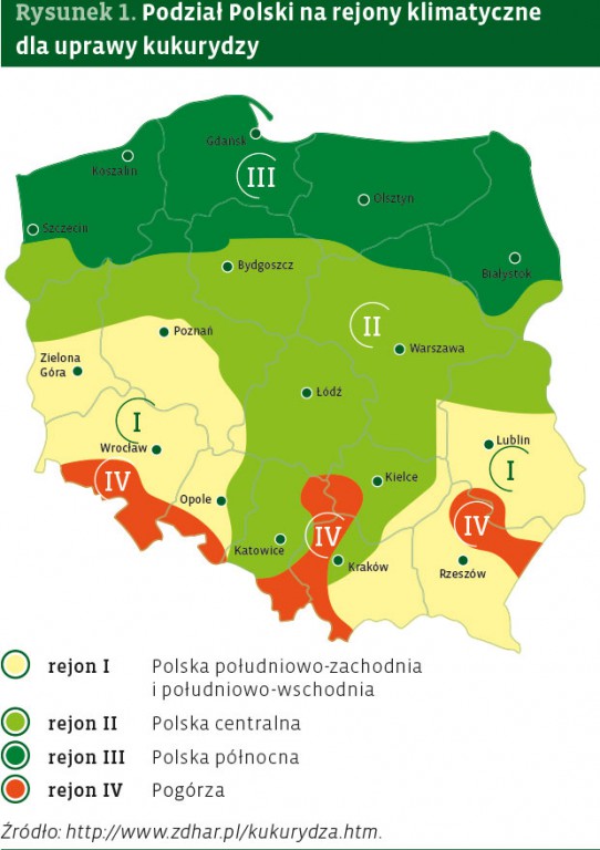 Kukurydza - podział Polski na rejony klimatyczne dla uprawy kukurydzy
